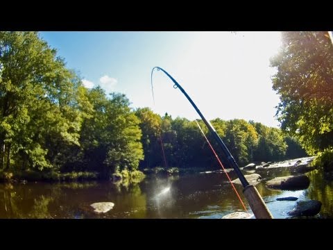 Sunrays and lightning - Fly fishing for big salmon in the famous Mörrum River