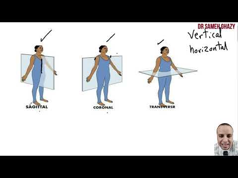 فيديو مجمع لكل اجزاء الدورة التأهيلية فى علم التشريح