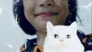Download lagu Dari matamu mp3 Download lagu Dari matamu mp3