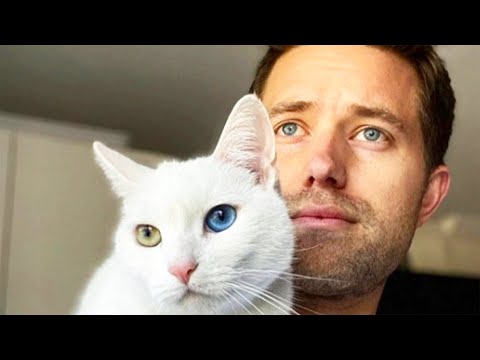 YouTube video about: When a man loves cats writer?