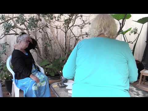 2016-06-25 NSSAT Discussion with JulieH: What is the Self?