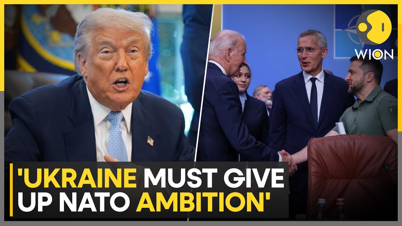 Trump's New Peace Plan: What's In It For Ukraine? | WION