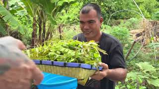 Download lagu Ungak Ngaga “Sambal Lado” mp3 Download lagu Ungak Ngaga “Sambal Lado” mp3
