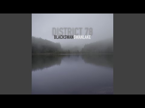 BLACK swan SWAN lake