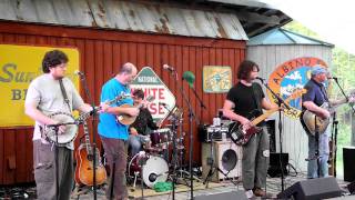 The Gourds - Big Santiago Bust @ Albino Skunk Fest (1st set) 10/08/11