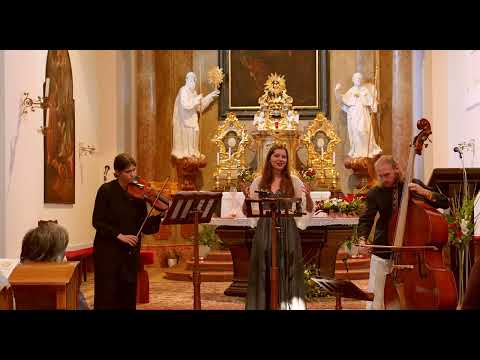 J. S. Bach: Vergnügte Ruh, beliebte Seelenlust  , Viennese Tuning Times