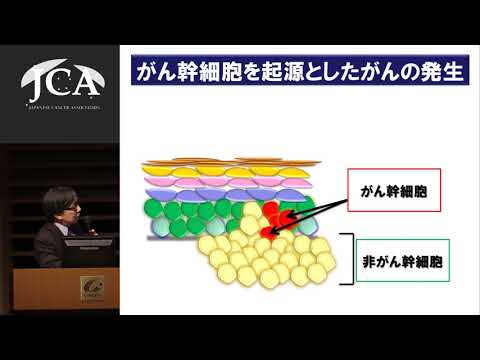 がん治療:研究でほぼすべてのパターンが発見 – より良い治療法が考えられる