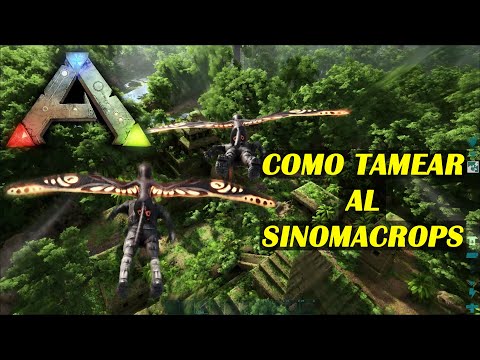 ARK Como Tamear al SINOMACROPS