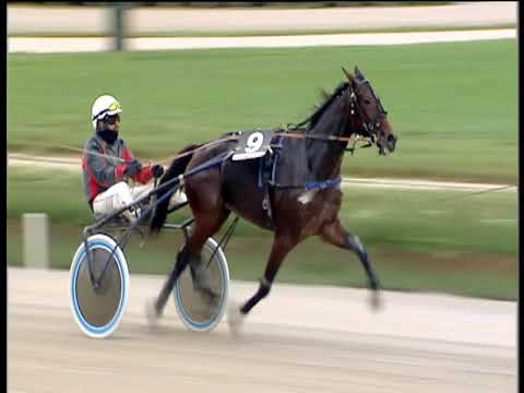 Trotto 02/11/2018 - 2ª corsa