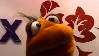 Von Schnatterfeld Rock around the World / Take 1 / Seeed . . . Ocean´s 11