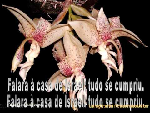 Hino C-38 - Fiel é a Palavra-06-05-08-28_wmv.wmv