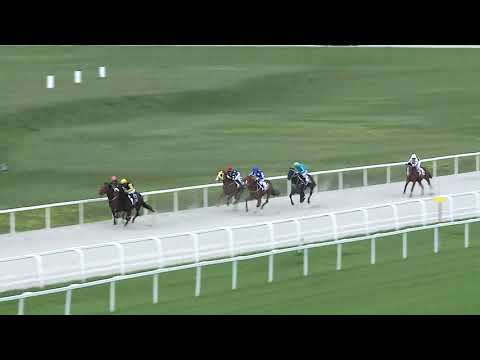 2019.06.01. 06. futam - DUNAKESZI HENDIKEP (III.o.) (szintetikus pálya)