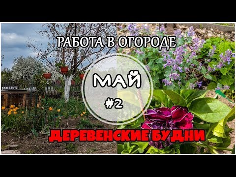 Работа в огороде. Май #2. Огород 2019. Жизнь в деревне.