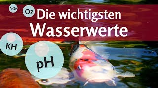 Wichtige Wasserwerte im Fischteich: Diese 4 müssen Sie kennen!