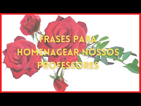 Frases Para Homenagear Nossos Professores  (Foco e fé )