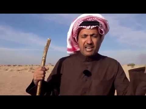 لأول مرة شاهد الموقع الذي قتل فيه كليب.. وقصة الزير سالم