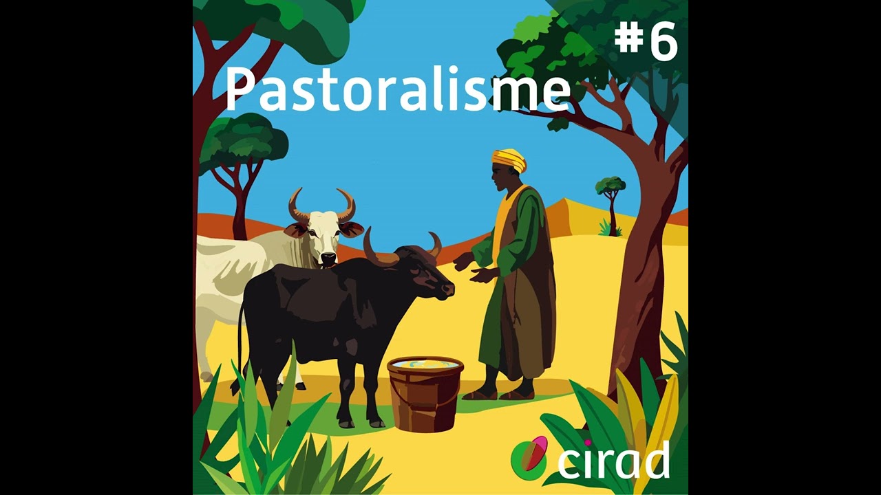 Des téléphones et des éleveurs mobiles #6 | Pastoralisme