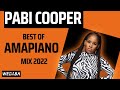 Pabi Cooper best of Amapiano Mix 2022 #30 | 11 Nov | Dj Webaba