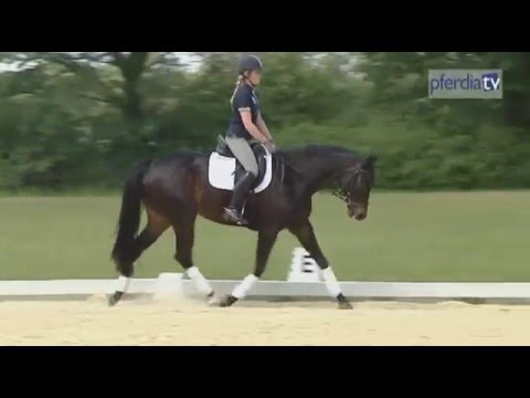 Mit lösender Arbeit zu innerer und äußerer Losgelassenheit | Reinhart Koblitz