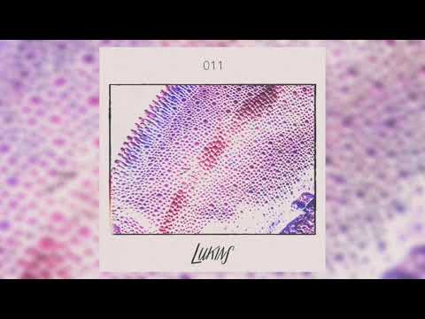 LUKINS RADIO 011 -  Dapayk Solo's From Disco Nap To Disco Prep Mix