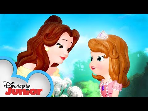 Sofia Meets Belle! 📚| Sofia the First | @disneyjr