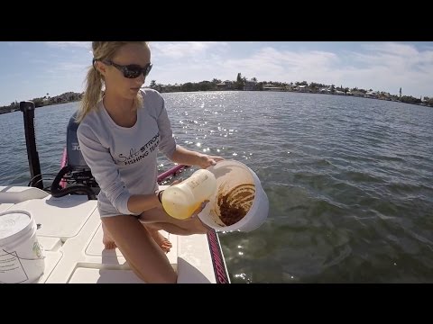 Fish Chumming DIY: How To Make The Best Saltwater Fish Chum