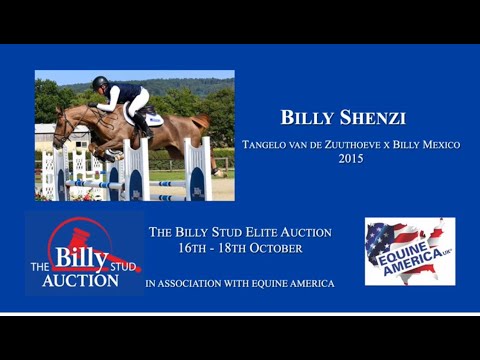 Billy Shenzi