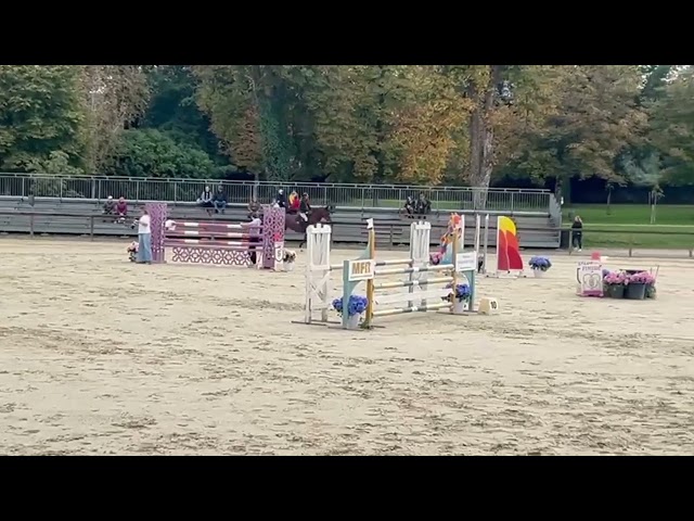 Hongre SF de 4 ans par Candy de Nantuel