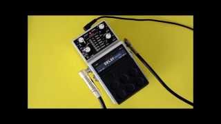 Video thumbnail for Maxon DD-02 Digital Delay Guitar Effect Pedal by Sharpie the Parrot