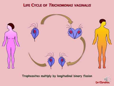 hogyan lehet beöntést tenni a pinworms hez méregtelenítés a marihuána metabolitjaiból