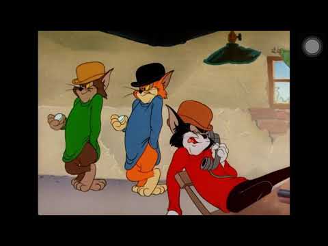Tom cat gangster against jerry gym