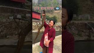 3kgs EEL Fish in Nepal #goviral #fishing #fish #fypviral #fypage #viralshort #viralvideo
