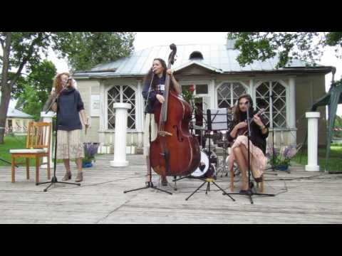 Акустическое вокально-инструментальное трио «Amelie Acoustic Trio».