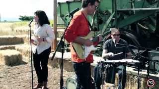 Neil Michael Hagerty & The Howling Hex - Dice (Live on PressureDrop.tv)