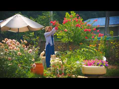 #119. March Essential Garden Care Tips for a Fresh Spring GardenㅣGarden Vlog