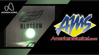 Video thumbnail for Jackson Audio Blossom - American Musical Supply by American Musical Supply