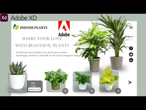 Indoor Plants User Interface in Adobe XD