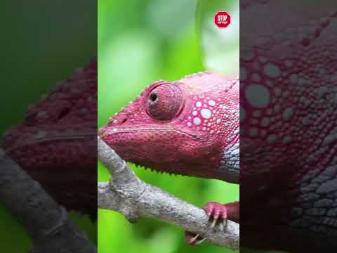 Як вам таке спілкування з журналістами від народного депутата Яценка? | СтопКор