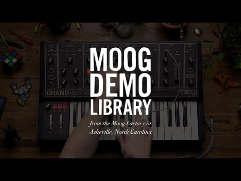 Grandmother | Envelope-Controlled Oscillator Sync