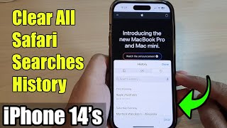 iPhone 14/14 Pro Max: How to Clear All Safari Searches History