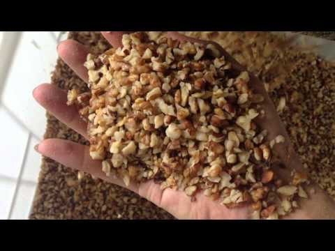 download lagu mp3 mp4 Pecan Grades, download lagu Pecan Grades gratis, unduh video klip Pecan Grades