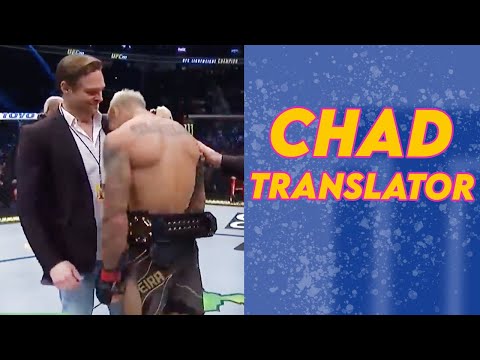 3 Minutes of Giga Chad Translator Matching the Vibe of the Fighters