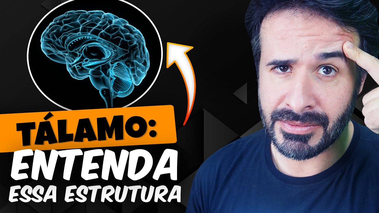 TÁLAMO ENTENDA ESSA ESTRUTURA