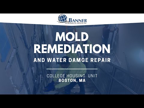 Mold Remediation & Water Damage Repair • Boston, MA