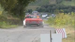 preview picture of video 'WRC Deutschland Rallye - WP 7/10 Stein & Wein - 25.08.2012'