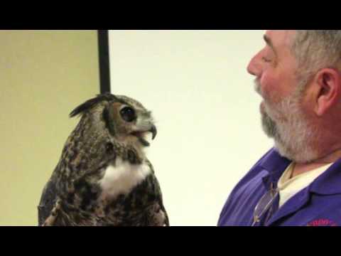 Owl presentation at Starved Rock Lodge
