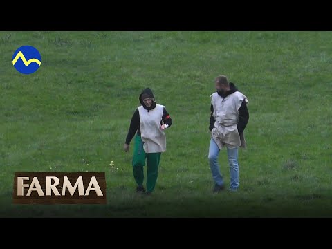 Je Dagmar tehotná?  - FARMA
