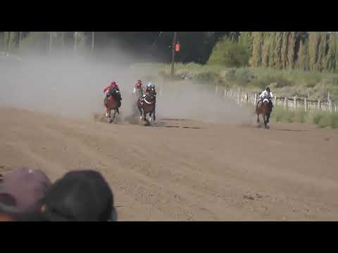 POBRE VIEJO  "Club Hipico Cabo Alarcon" - Picun Leufu - Neuquen - 26-02-2023