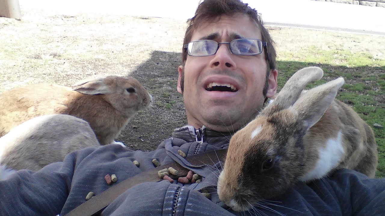 Getting Covered by Bunnies on Rabbit Island - Weird World Explorer