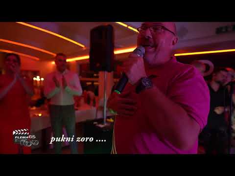 PLEMA 65    -   PUKNI ZORO